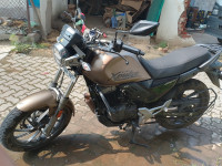 Mat Gold Hero XPulse 200T BS6