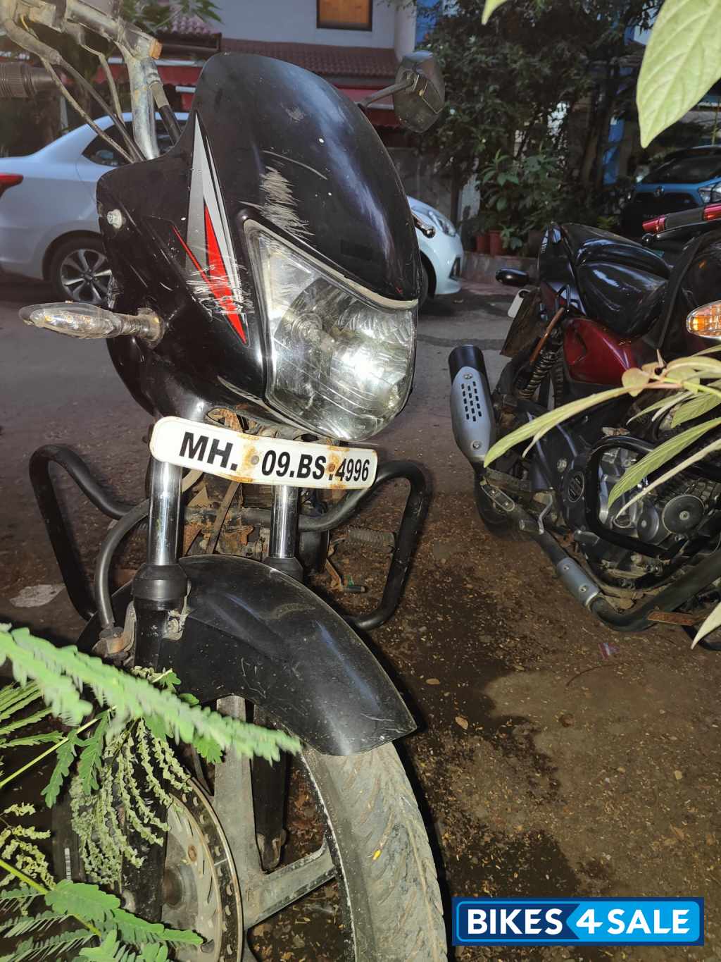 Honda Shine 125 Disc