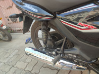 Black Honda Shine 125 Drum OBD2