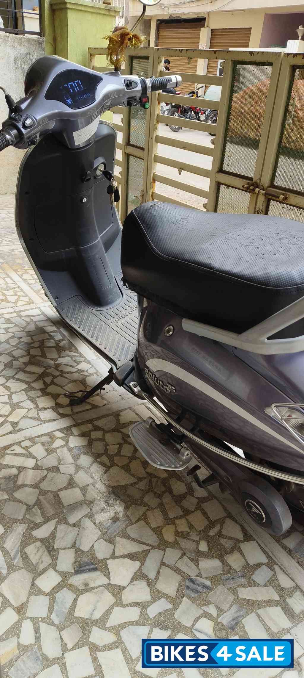 Grey Pure EV epluto 7G