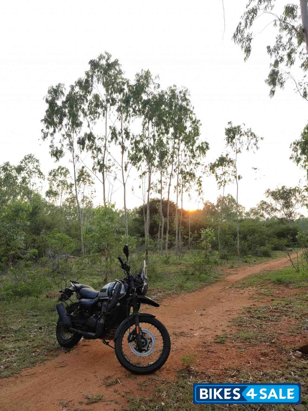 Yezdi Adventure Gloss