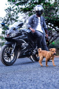 Yamaha YZF R15 V3 2022 Model