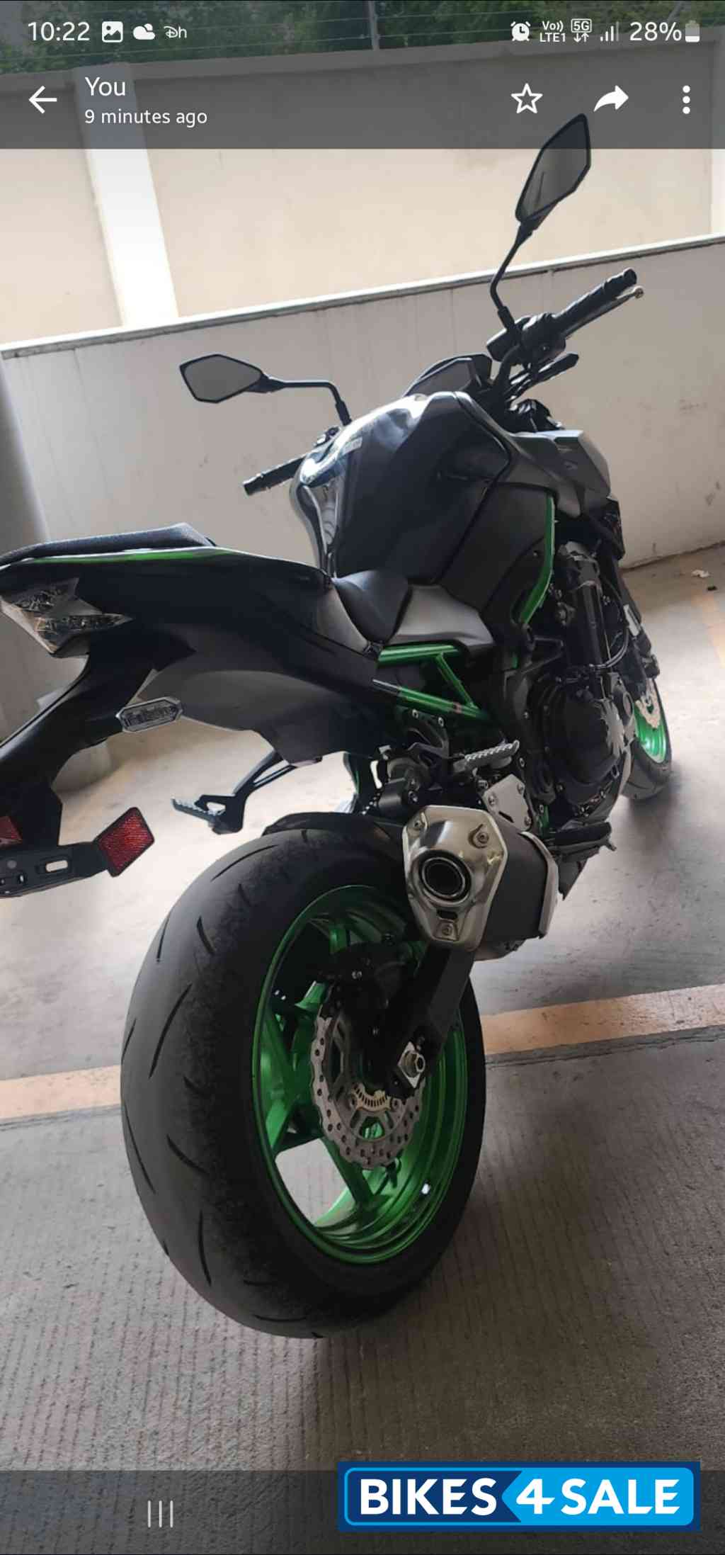 Green Kawasaki Z900 2023