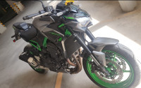 Green Kawasaki Z900 2023
