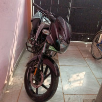Bajaj Pulsar 125 Neon Disc Single Seat 2021 Model