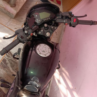 Bajaj Pulsar 125 Neon Disc Single Seat