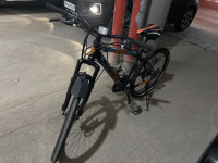 Bicycle Schnell 2021 Model