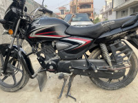 Honda Shine 125 Drum