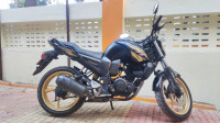 Yamaha FZ 2010 Model