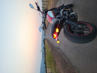 Ducati Scrambler Icon