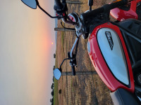 Ducati Scrambler Icon