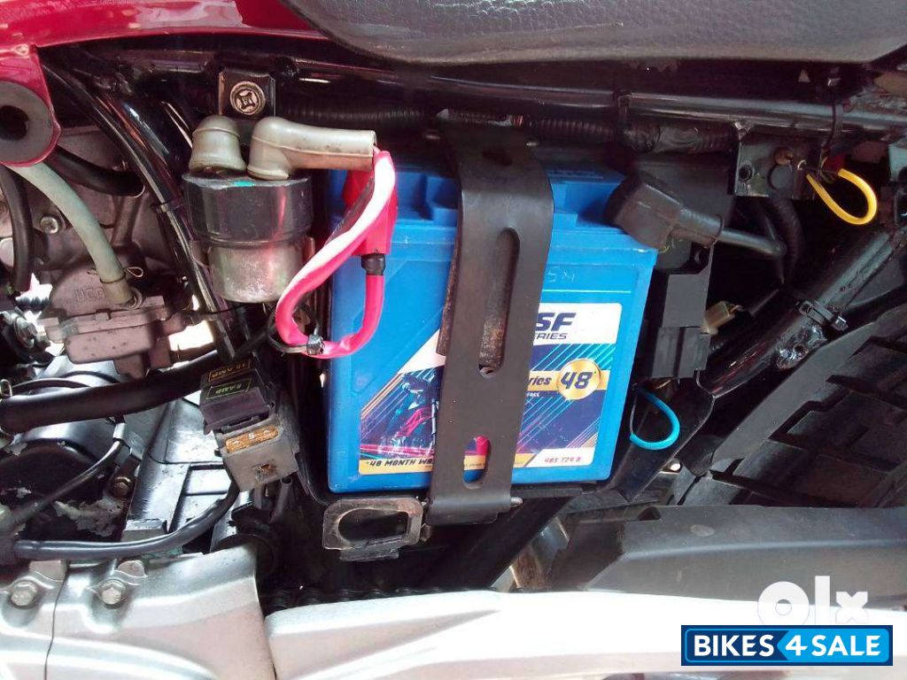 Wine Red/black Dual Bajaj Pulsar 220F