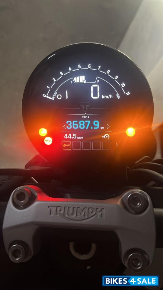 Orange Triumph Trident