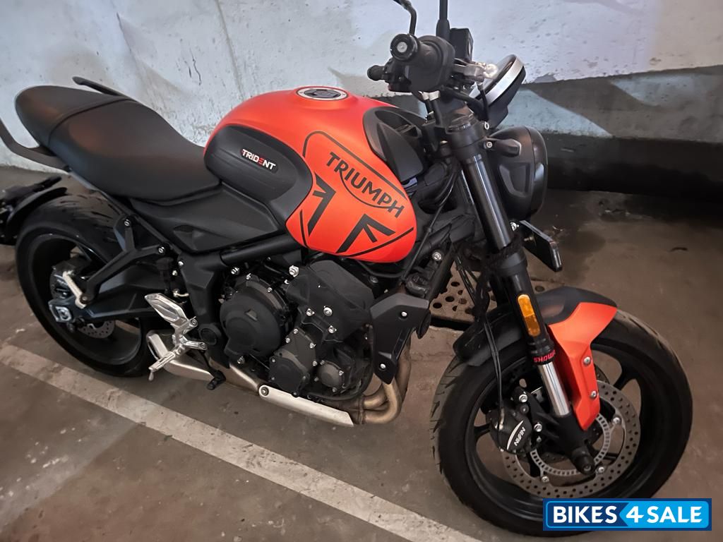Orange Triumph Trident Orange Triumph Trident