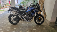 Triumph Tiger 1200 GT Pro