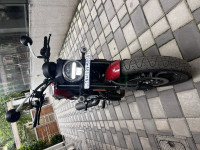 Metallic Thick Red Harley Davidson X440 Vivid