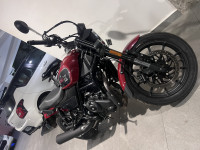 Metallic Thick Red Harley Davidson X440 Vivid