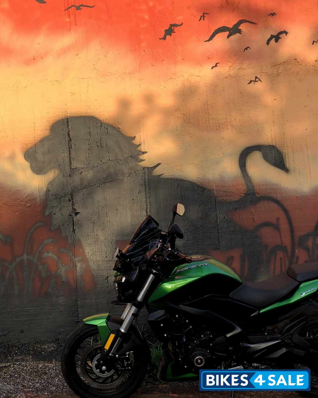 Green Bajaj Dominar 400 ABS BS6 Green Bajaj Dominar 400 ABS BS6