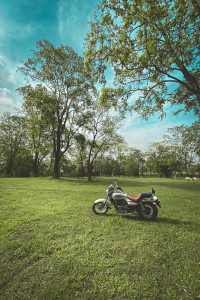 Bajaj Avenger Cruise 220 BS6