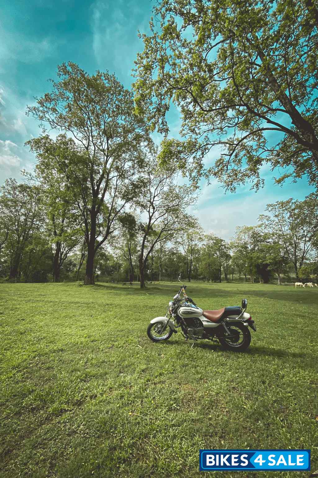 Bajaj Avenger Cruise 220 BS6