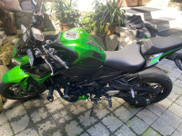 Candy Lime Green Kawasaki Z900 2020