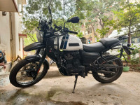 Gloss White Yezdi Adventure Gloss