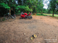 TVS Apache RR 310 2019 Model