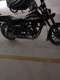 Bajaj Avenger Street 150 2015 Model