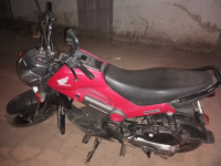 Honda Navi Model
