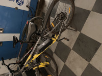 Bicycle EMotorad 2023 Model