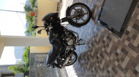 Black Bajaj Pulsar 150 DTSi