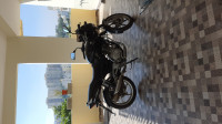 Black Bajaj Pulsar 150 DTSi