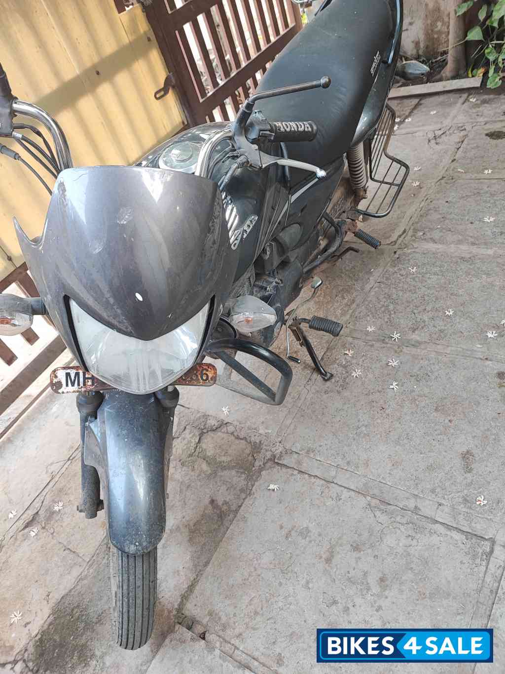 Honda Shine 125 Drum