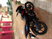 Bajaj Pulsar 125 Carbon Fibre Disc Split Seat 2021 Model