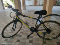 Bicycle Schnell 2019 Model