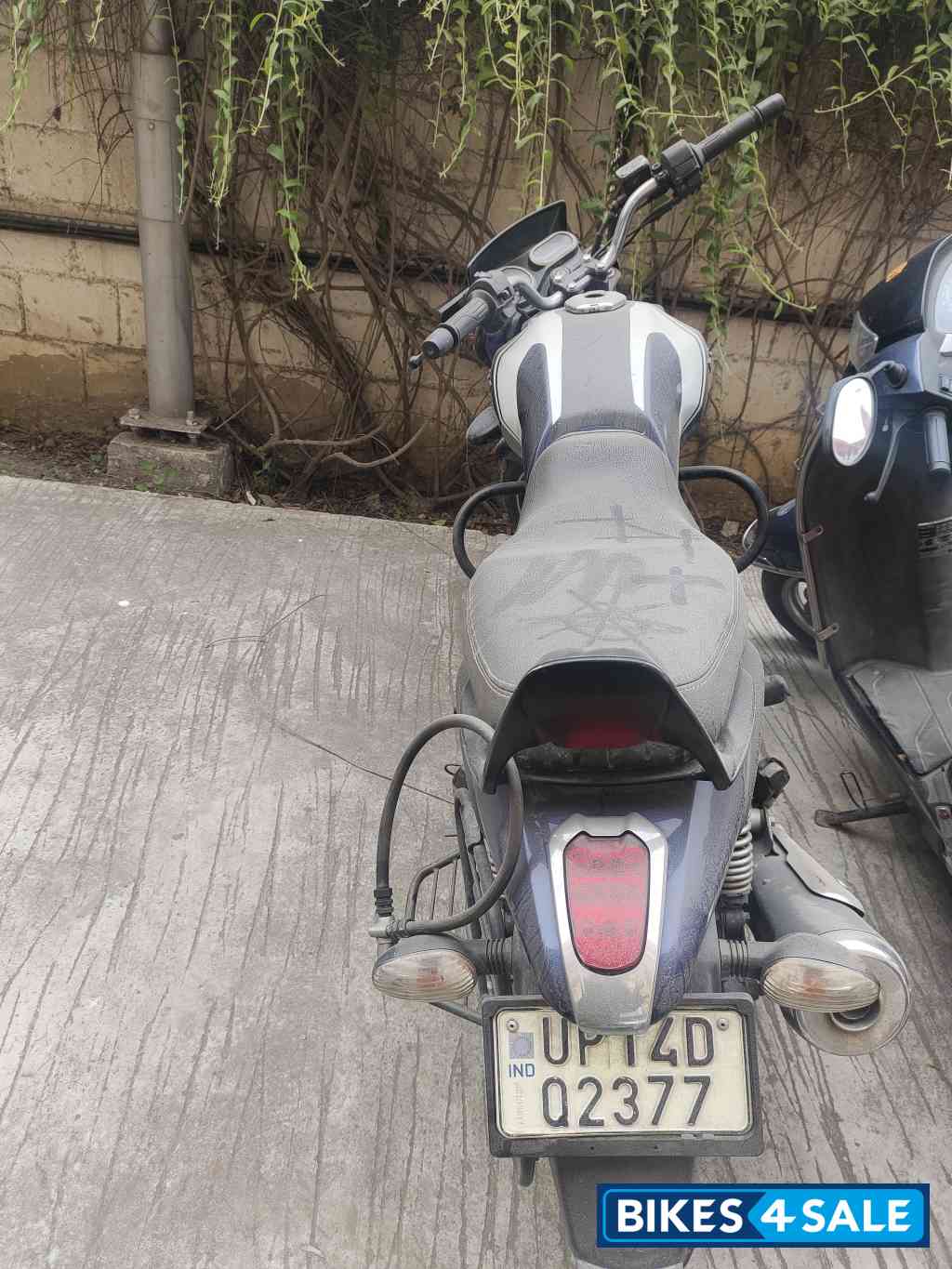 Bajaj V15
