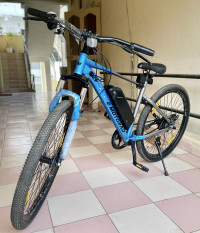 Bicycle EMotorad 2023 Model