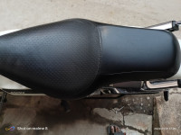 White Moon Bajaj Avenger Cruise 220