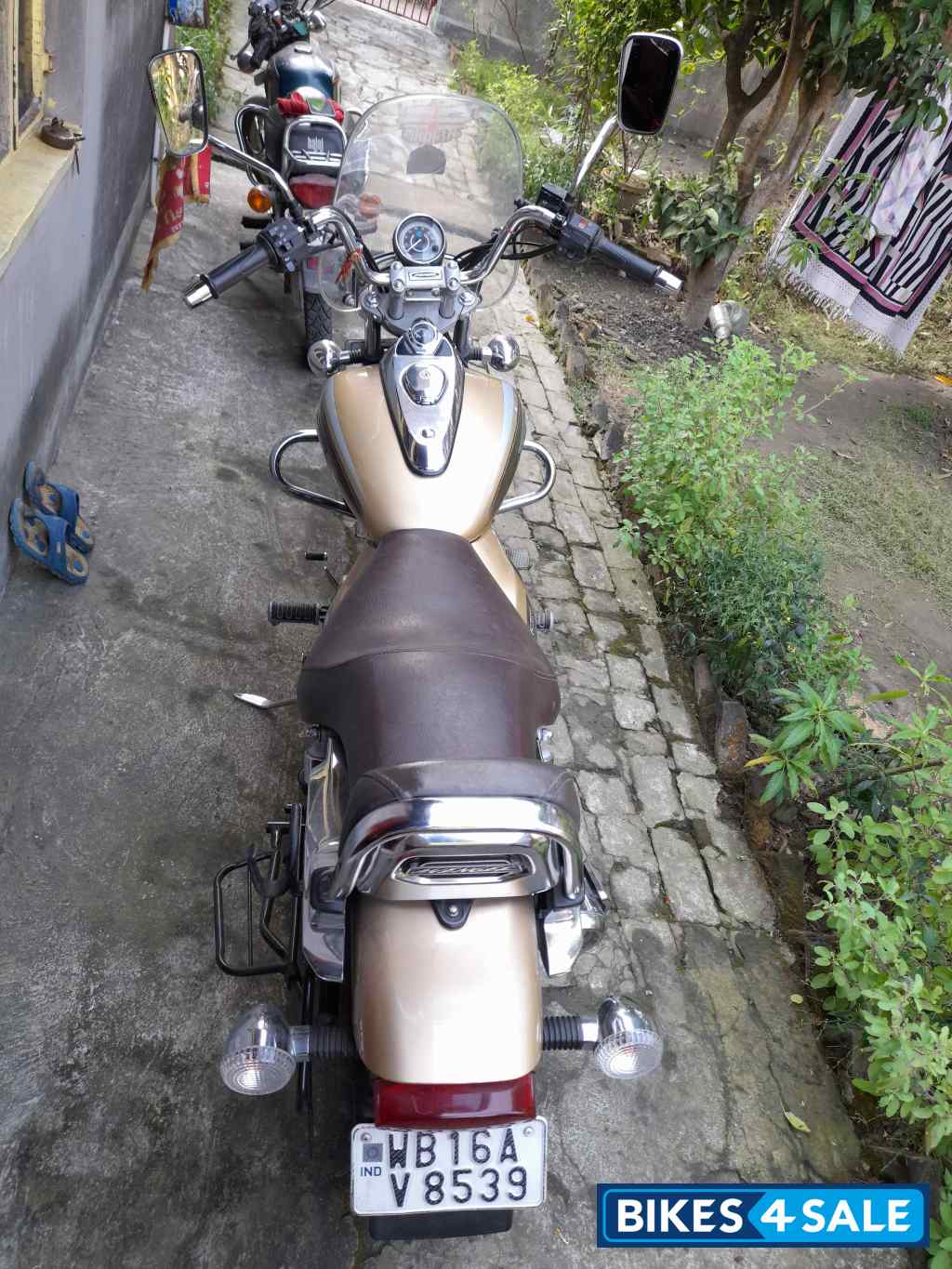 Gold Bajaj Avenger Cruise 220
