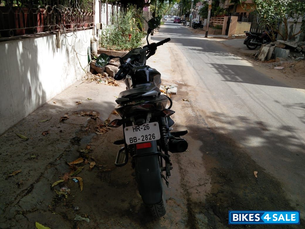 Black Bajaj Pulsar 135LS Black Bajaj Pulsar 135LS