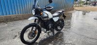 Royal Enfield Himalayan 2021