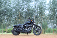 Mate Black Harley Davidson Iron 883
