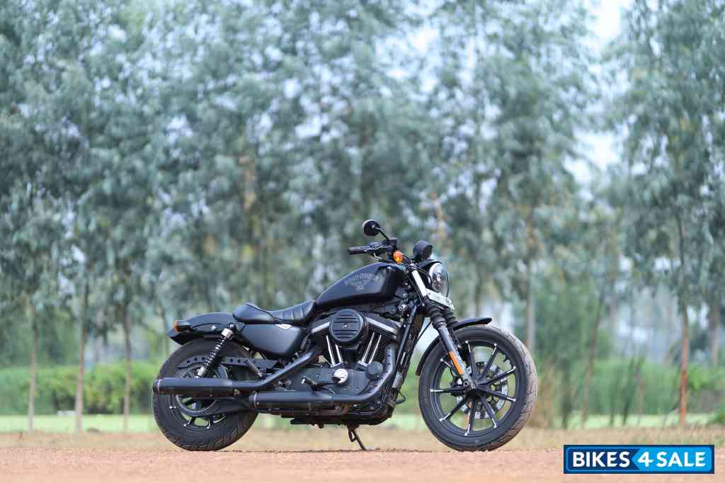 Mate Black Harley Davidson Iron 883