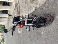 Roving Red Royal Enfield Thunderbird X 350