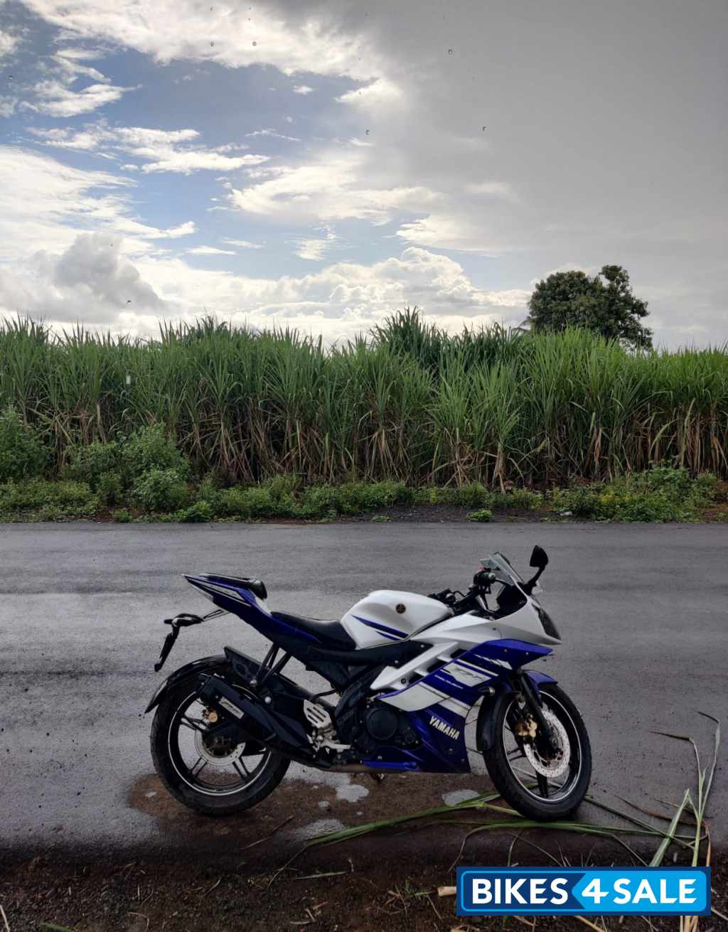 Blue Yamaha YZF R15 V2