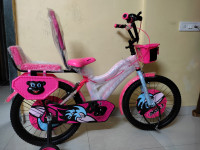 Bicycle  Saffron 2023 Model