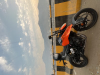 KTM Duke 250 2024 2024 Model