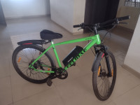 Felidae Maven 2022 Model