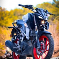 Metallic White Yamaha MT-15 BS6