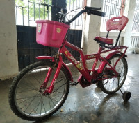 Pink Hero Cycles  hero sundancer 20T